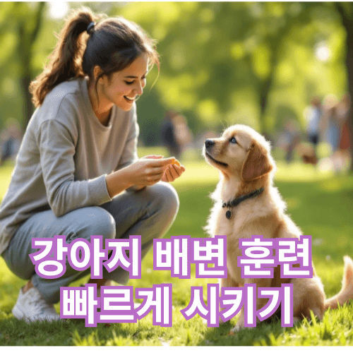 강아지 배변 훈련