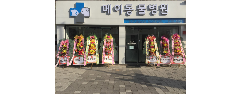 울산 중구 동물병원