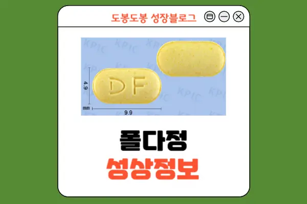 폴다정 성상 정보 이미지