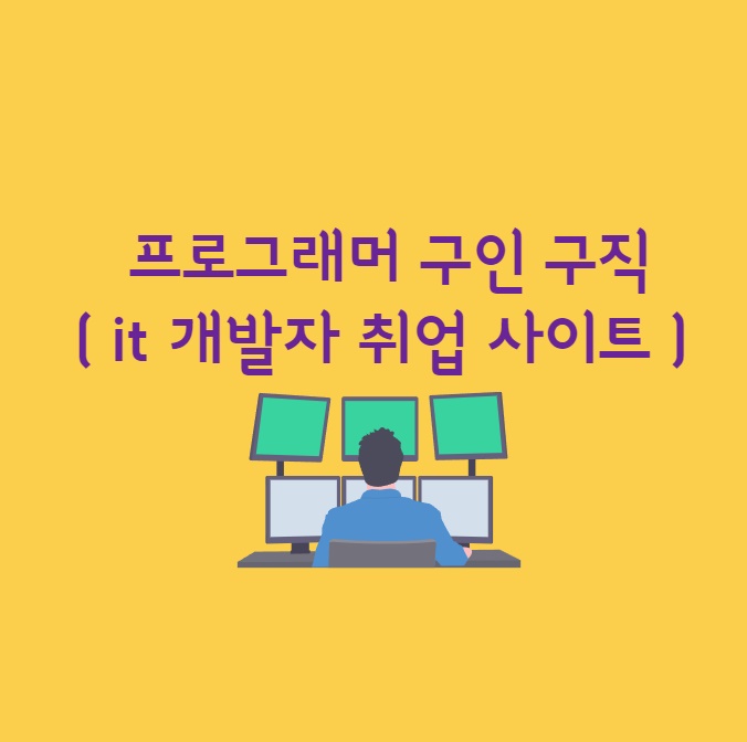 프로그래머 구인 구직 ( it 개발자 취업 사이트 ) 사이트 원티드