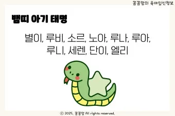 2025 뱀띠 나이 53년 65년 77년 89년 01년생 정리_19