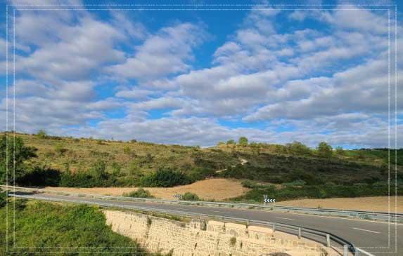 동백패스 환급일