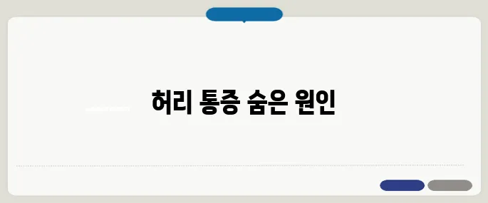 허리가 아픈 이유 디스크 말고 이 근육도 확인
