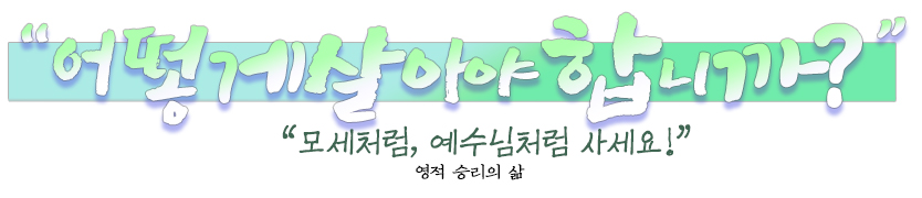 신부님 소제목