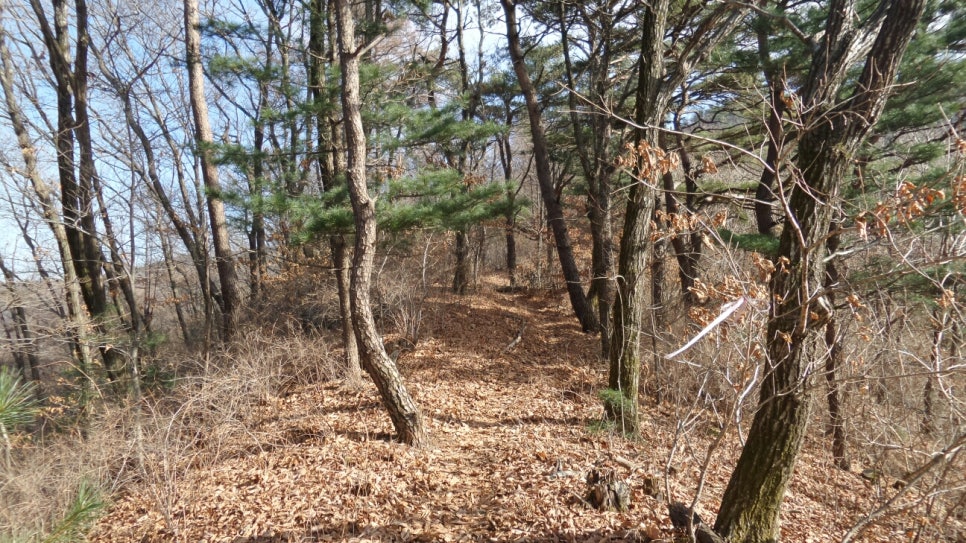 100대 명산 등산하기 다섯번째 유명할 만큼 아름다운 산 유명산 신령스러운 전설과 자연미&amp;#44; 역사문화가 어우러진 산 용문산 연계 산행 