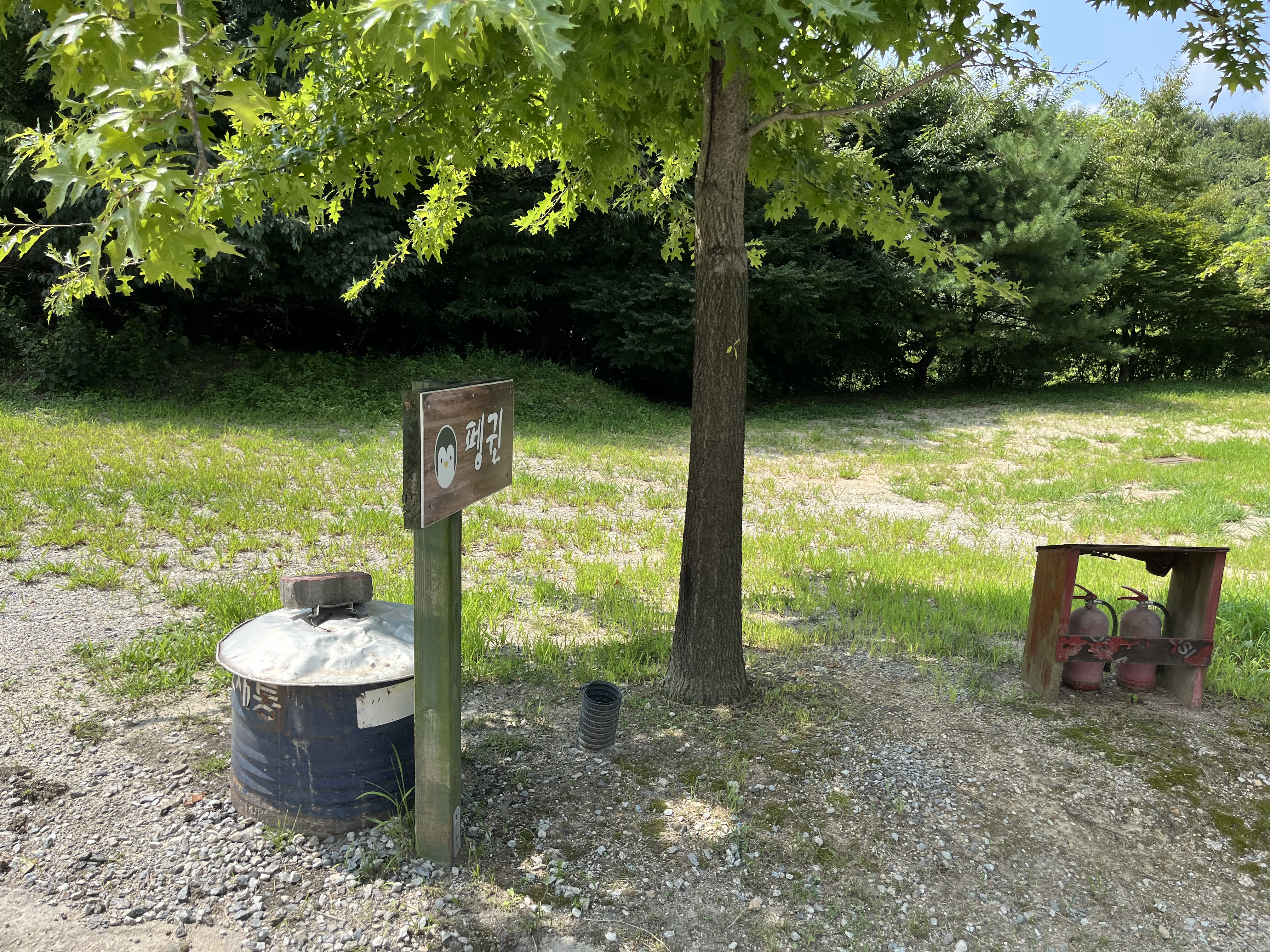 단풍숲 펭귄 사이트