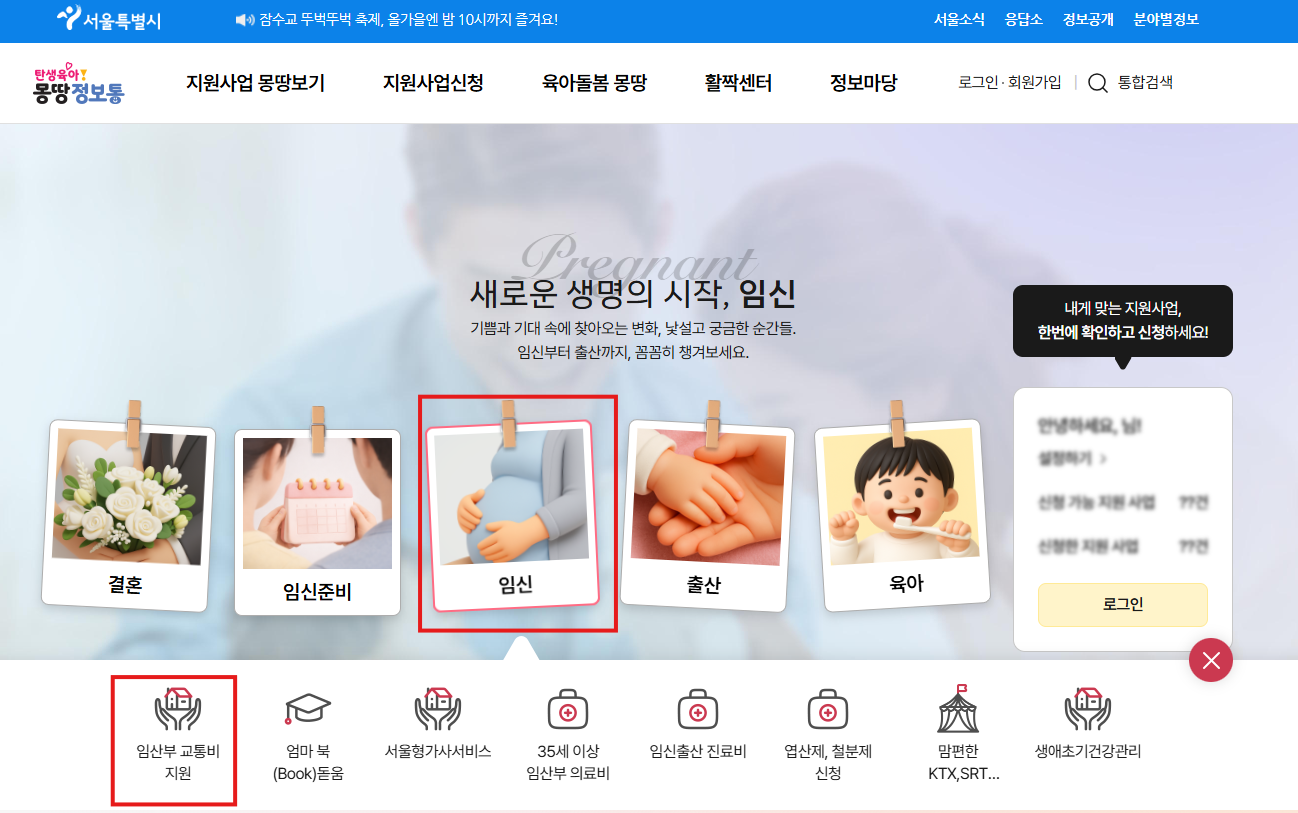 임신 확인 후 해야 할 일, 임신초기 준비 순서와 지원제도