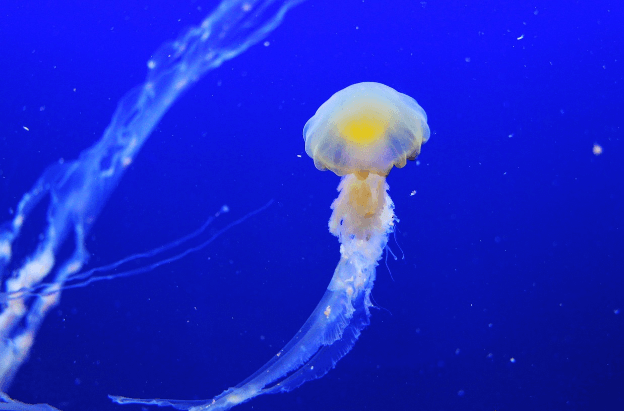 ‘조용한 결심’, 타인의 시선에서 벗어나 나답게 사는 법