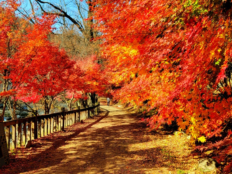 10월 데이트 여행지 오대산