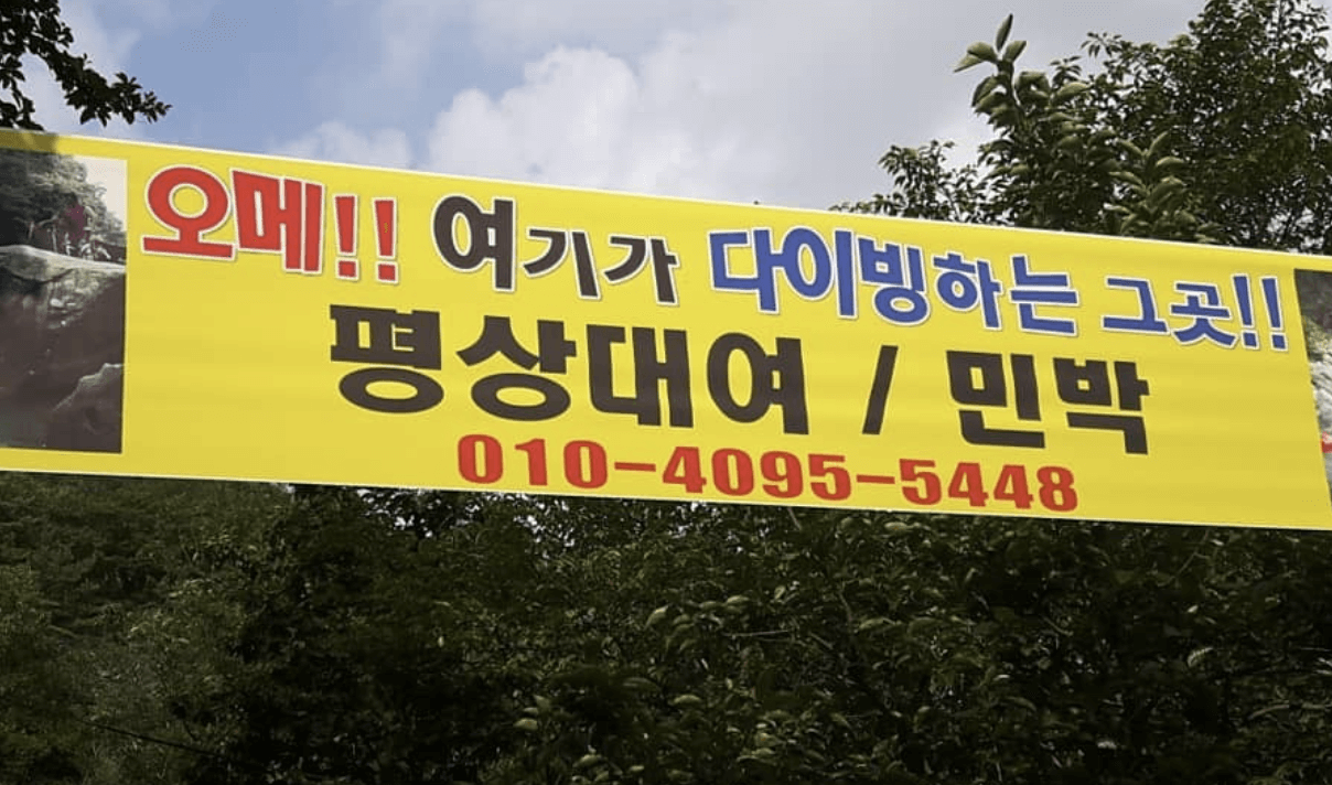 검태오남매