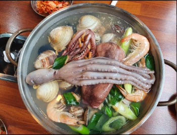 오늘n 해물칼국수 경북 경주 해물왕창