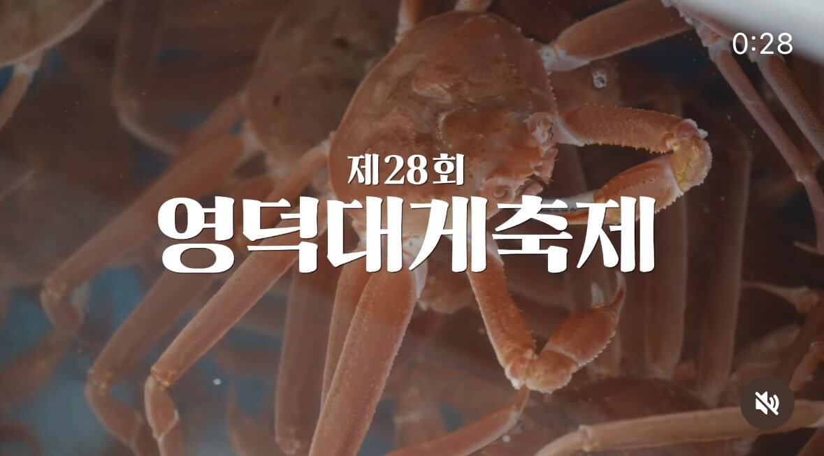 영덕대게축제