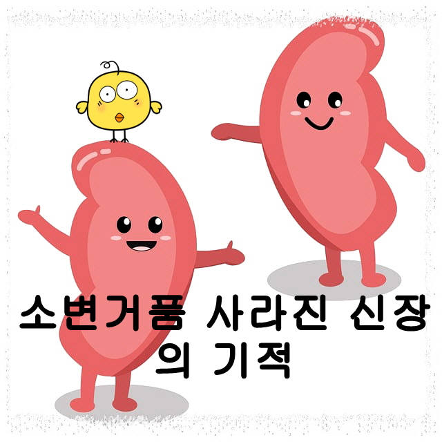 소변거품 사라진 신장의 기적