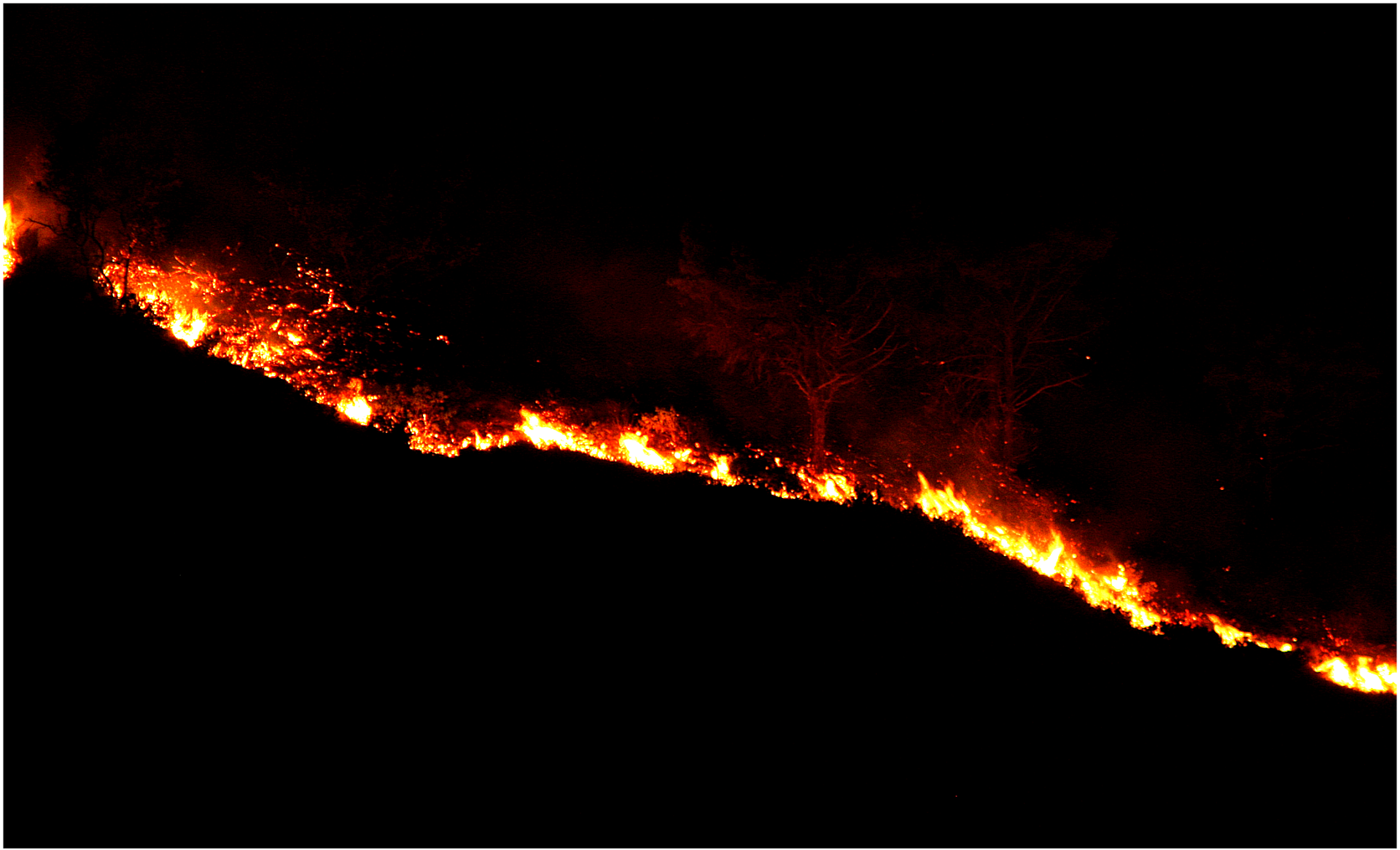 최근 산불 상황요약 가정용 산불대비 체크리스트 행동요령 예방법