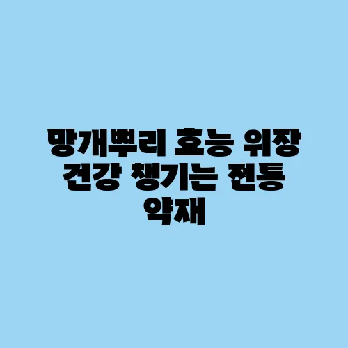 망개뿌리 효능 위장 건강 챙기는 전통 약재