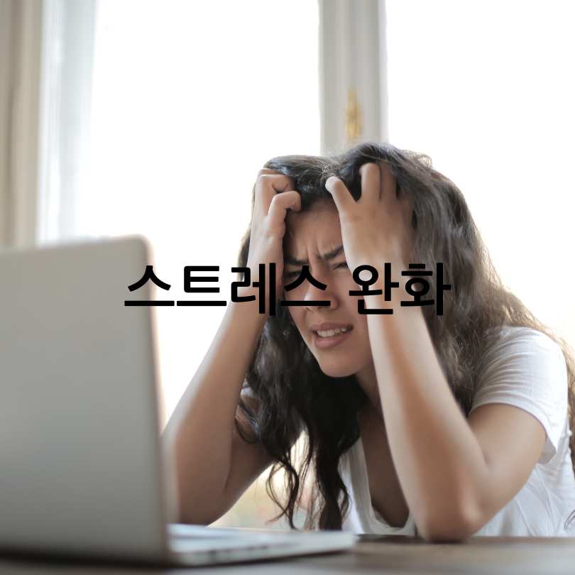 노인필라테스