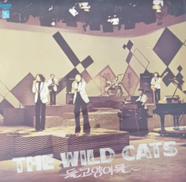 들고양이들(정주현) 마음 약해서