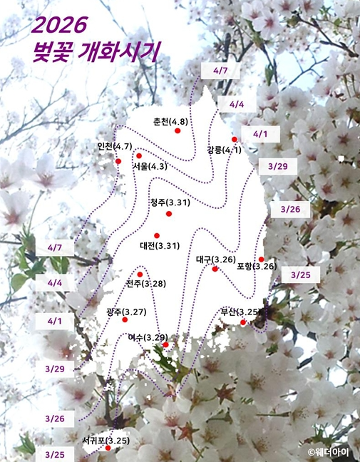 벚꽃 개화 시기 (웨더아이)