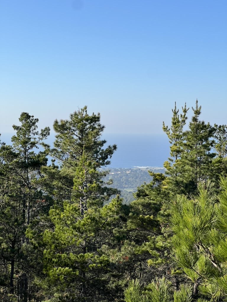 Huckleberry Hill