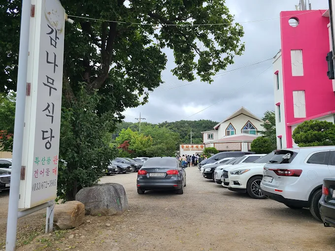 강원도 양양 아침식사, 감나무식당