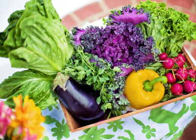 식이섬유가 들어간 식단