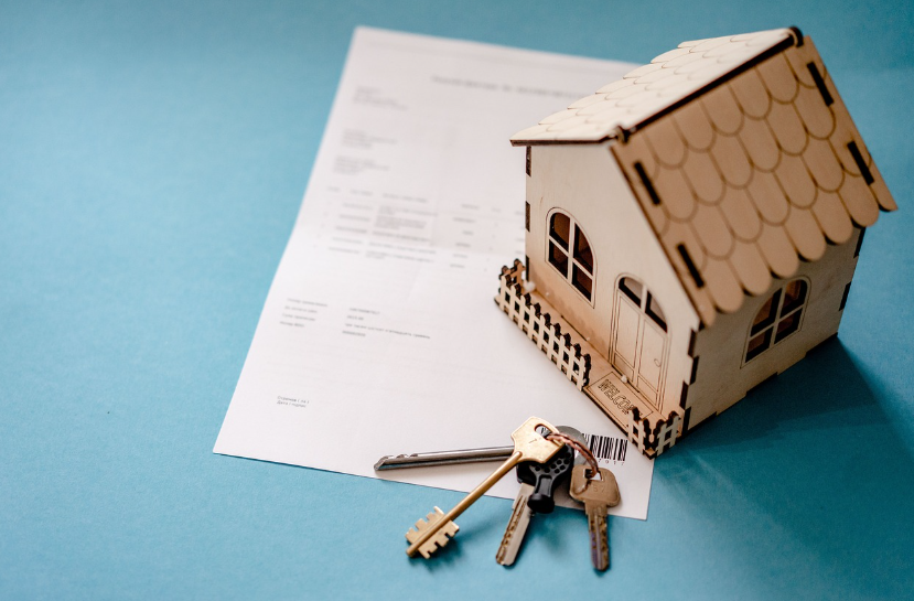 투자 관련 사진