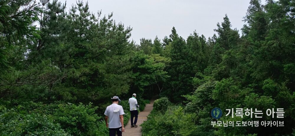 거문오름 데크길 아버지 지인