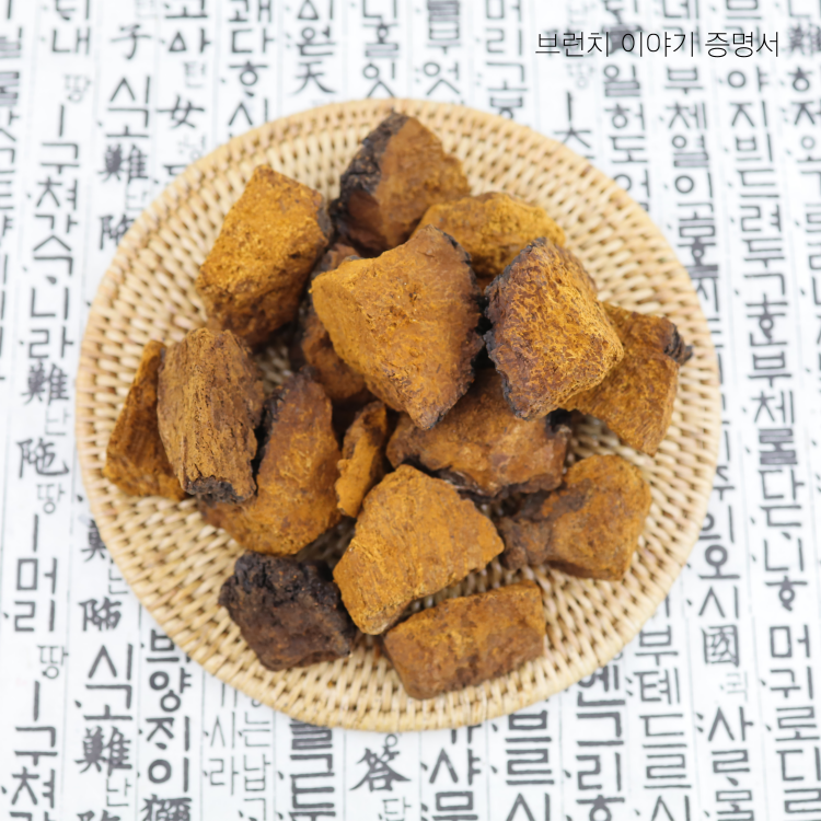 차가버섯