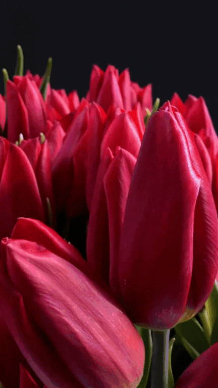 움직이는 센스있는 생일축하 이미지 메세지 카톡 문자 문구