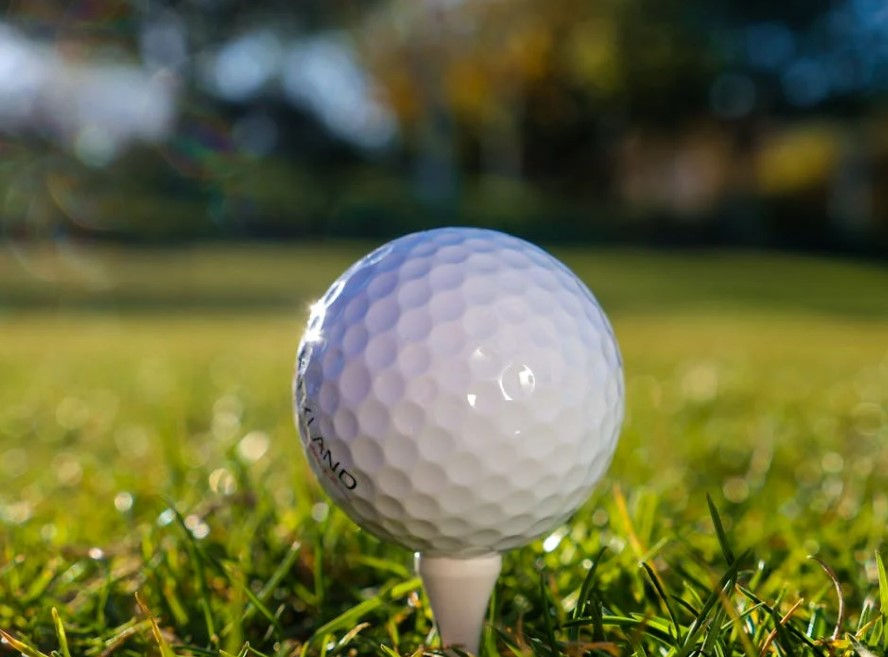 VIP 골프장 연회비 얼마 수도권 및 전국 프리미엄 골프장 비교 총정리