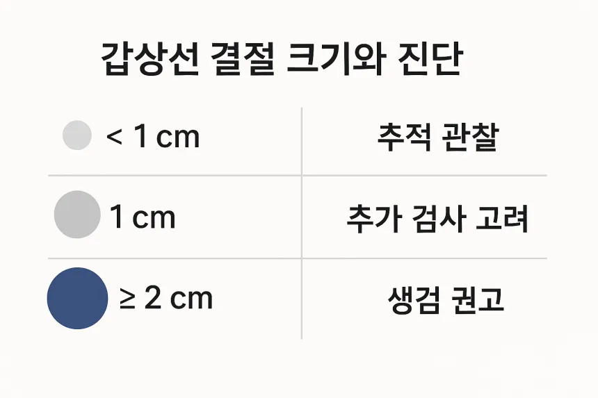 갑상선 결절 크기