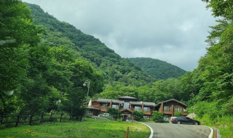 숲나들e 2월 18일 오픈 3월 예약 일정