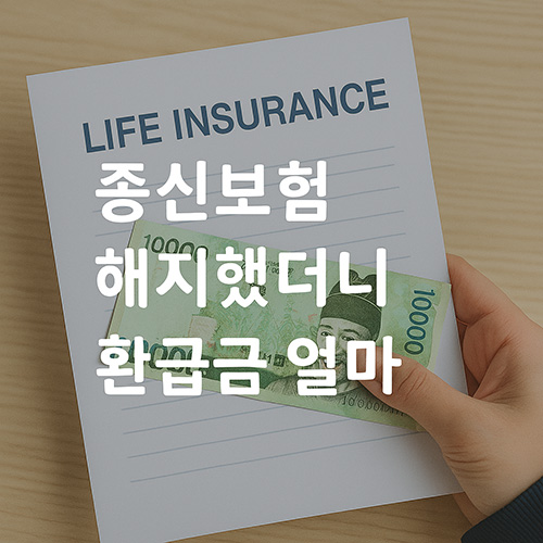 종신보험-해지했더니-환급금-얼마-나왔을까