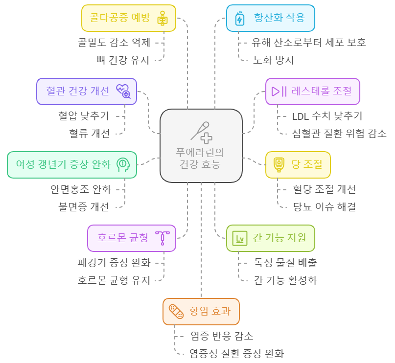 푸에라린 효능
