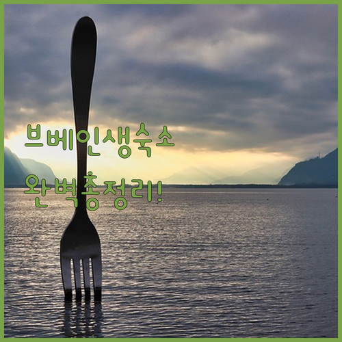 럭셔리 스파부터 가성비 숙소까지 스위..