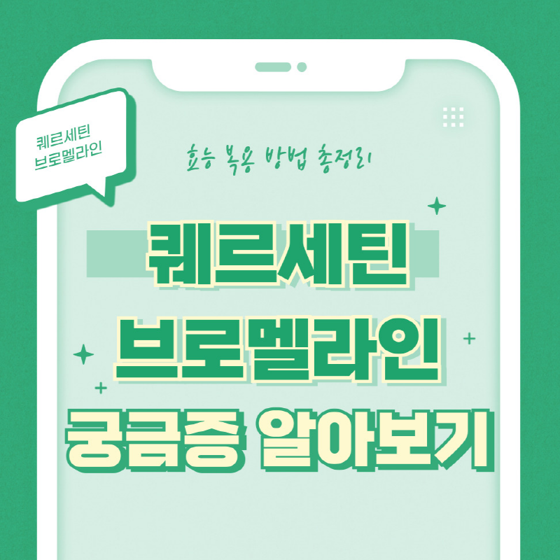 퀘르세틴 브로멜라인 효능