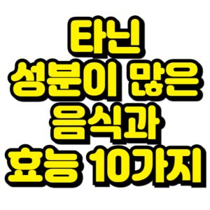 타닌-성분이-많은-음식-효능