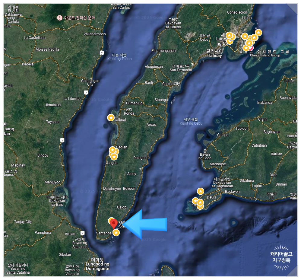 세부 오슬롭 고래상어
