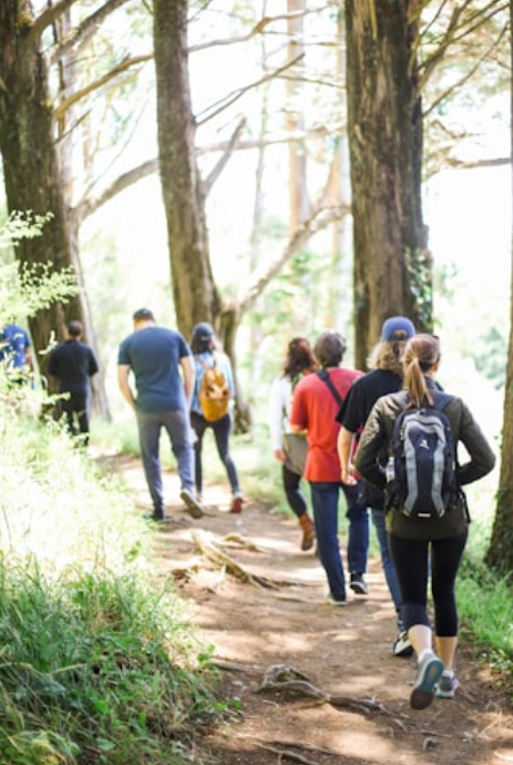 혈압 안정에 도움이 되는 운동 루틴