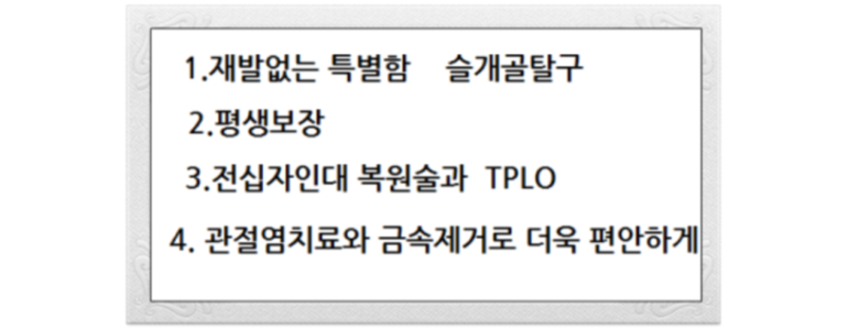 인천 계양구 동물병원