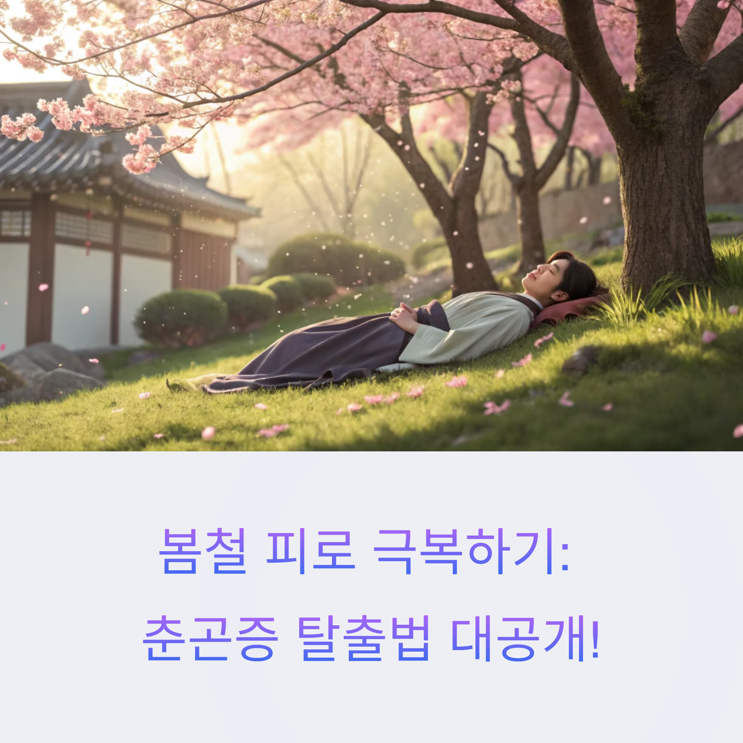 춘곤증 극복 방법 총정리 – 봄철 피로 싹 날리는 실전 팁 7가지