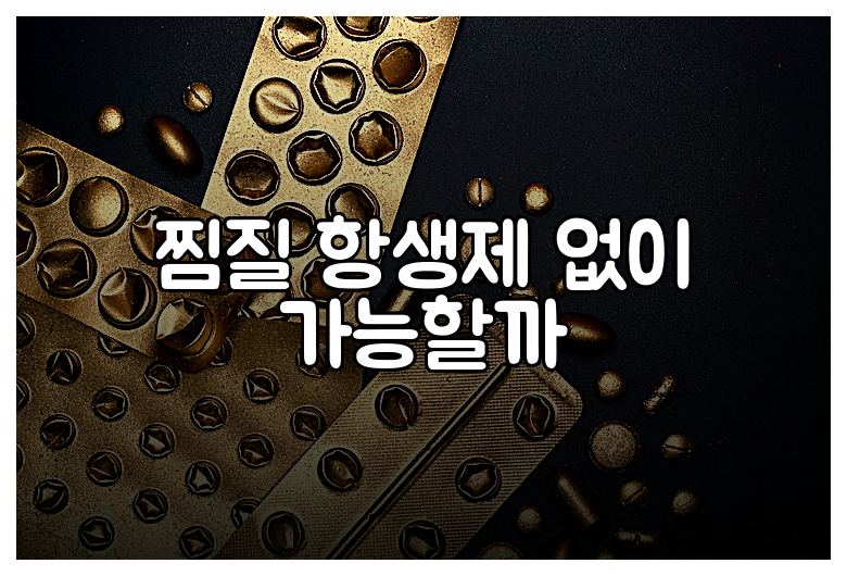 찜질 항생제 없이 가능할까
