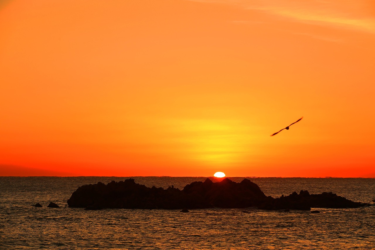 대왕암공원 관련 사진