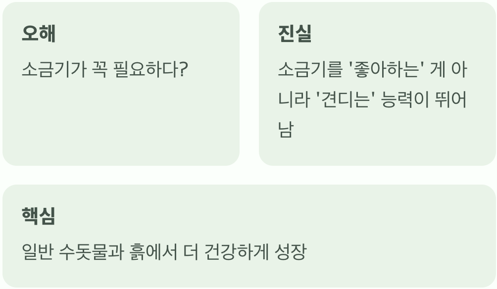 바닷가 식물에 대한 가장 큰 오해