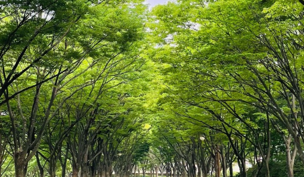 인천대공원