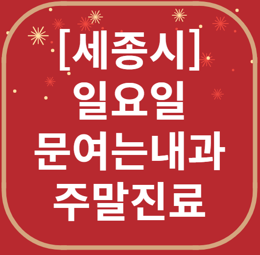 세종시 일요일 문 여는 내과 목록 ❘ 주말 토요일 공휴일 병원 바로 찾기