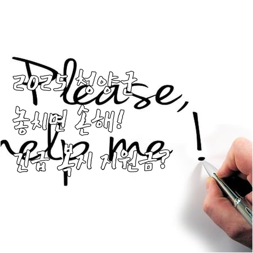 갑작스러운 위기 2025 청양군 복지..