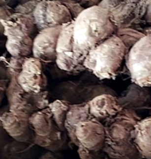 파비플로라 효능 부작용