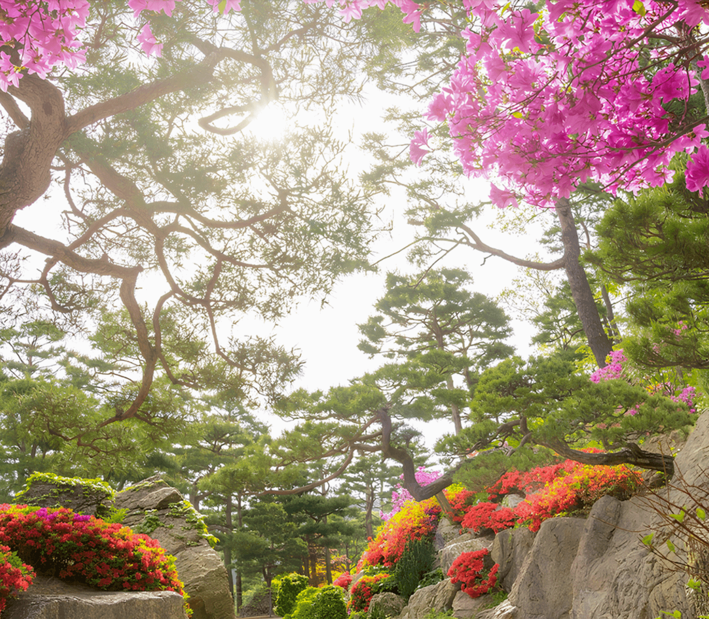 화담숲 예약 입장료 화담채