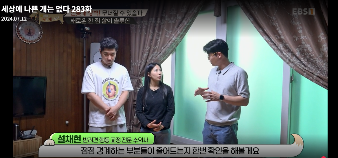 설채현-세상에나쁜개는없다-세나개-283화-진돗개장벽-재방송